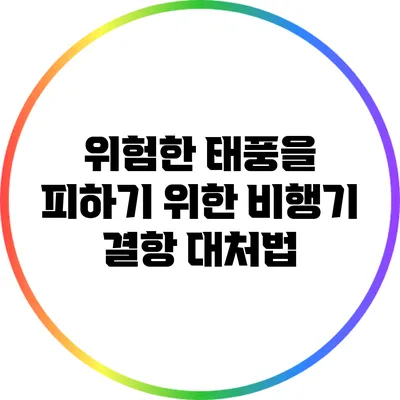 위험한 태풍을 피하기 위한 비행기 결항 대처법