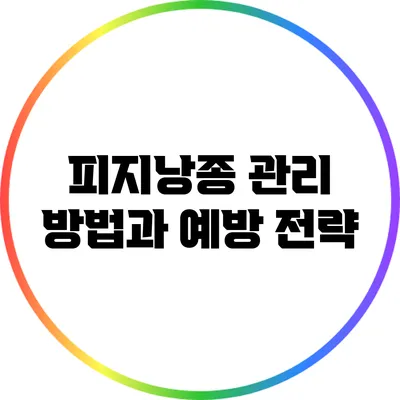 피지낭종 관리 방법과 예방 전략