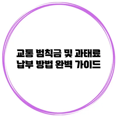 교통 범칙금 및 과태료 납부 방법 완벽 가이드
